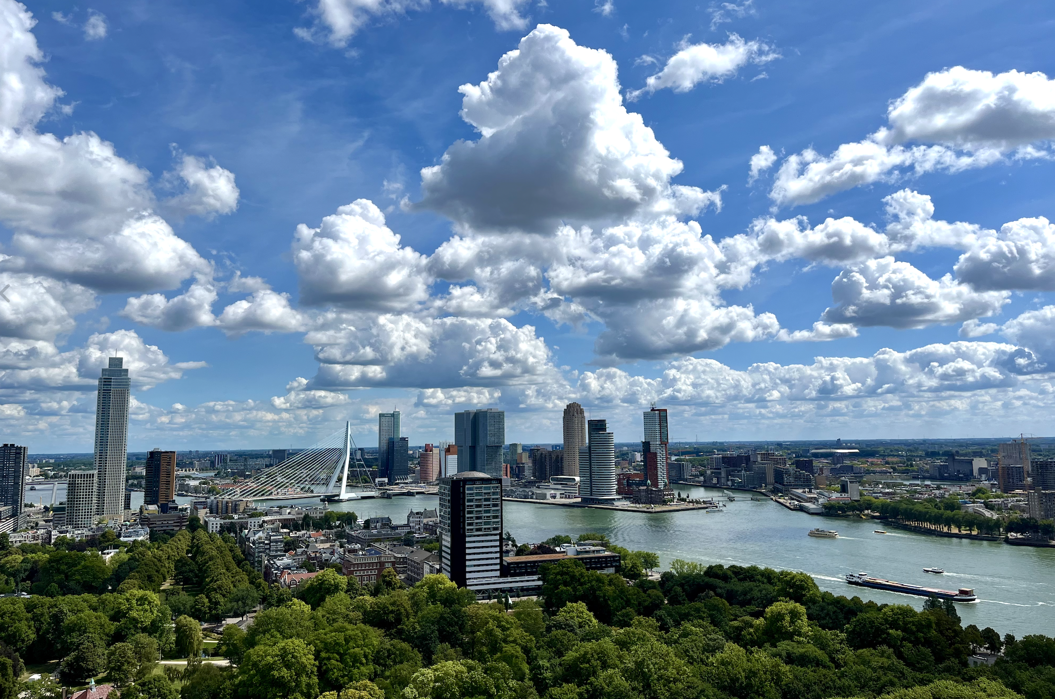 view of rotterdam skyline with lots of trees visible
