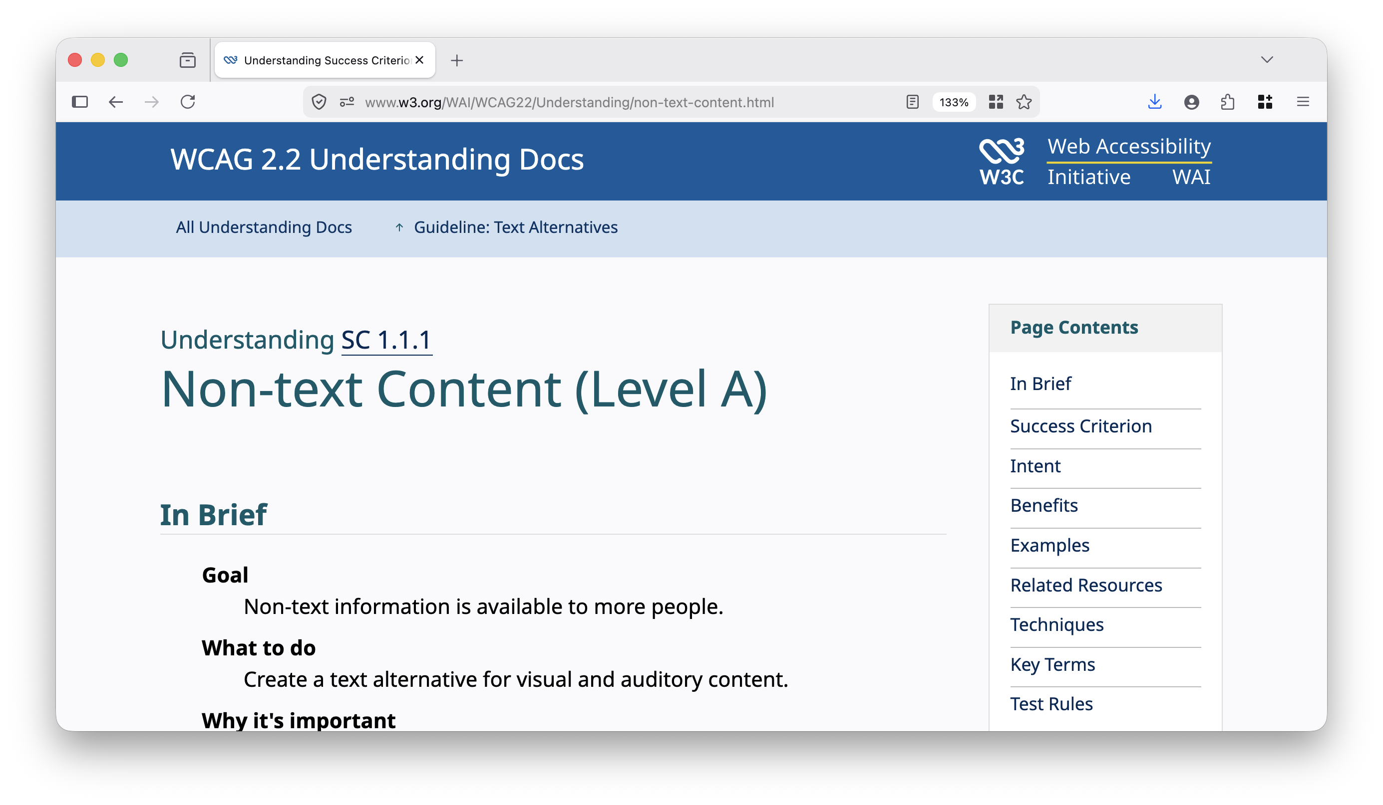 screenshot van WCAG 1.1.1 understanding document